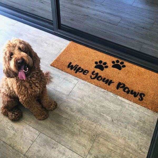 Dog with Large Wipe Your Paws doormat with two paw prints