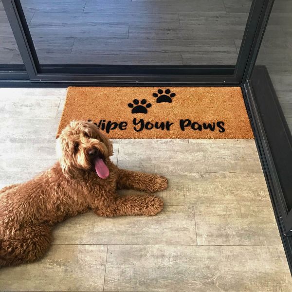 Dog with Large Wipe Your Paws doormat with two paw prints